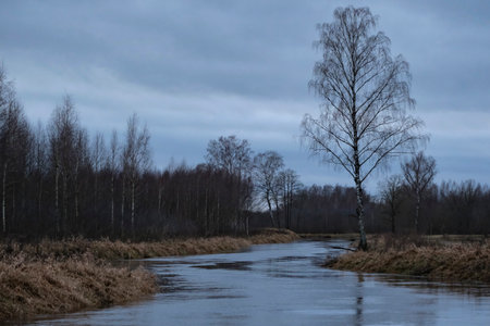 Winter landscape without snow of slow stream Iecava river and river banks in Zemgale, Latvia, leafless trees with bare branches, sunset in winter with black reflections in waterの写真素材