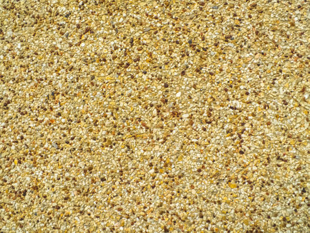 background of a nice sand wallの写真素材