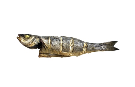 fresh seabass griled and isolated over white