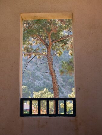 pine in natural frame of window, fethie, turkeyの写真素材