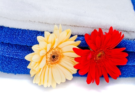 Spa towels with herbera flower isolated over whiteの写真素材