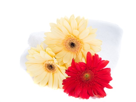 Spa towels with herbera flower isolated over whiteの写真素材