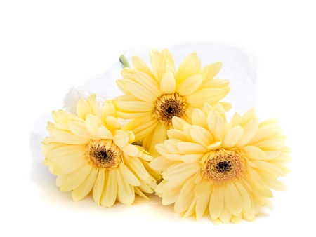 Spa towels with herbera flower isolated over whiteの写真素材