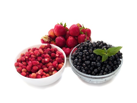 variety of berriesの写真素材