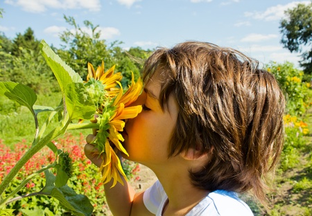 boy with sunflowerの写真素材