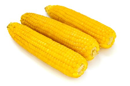 sweet cornの写真素材