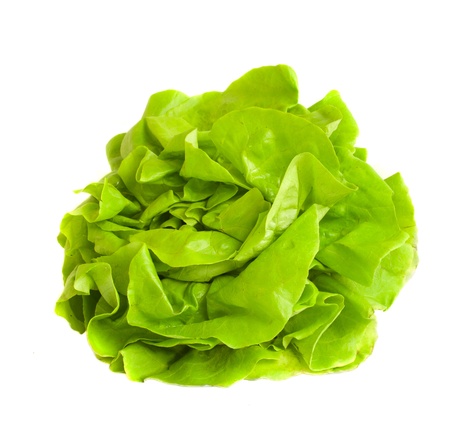 green freshly picked salad の写真素材