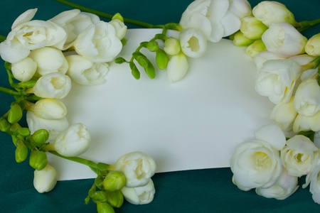 white freesias with blank card on green silk background
