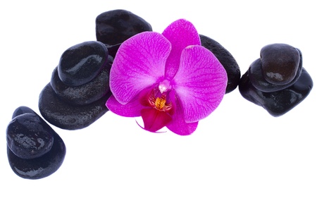 zen stones and orchid isolated on white backgroundの写真素材