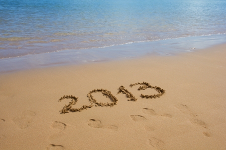 meeting  2013 new year on the beach  concept
