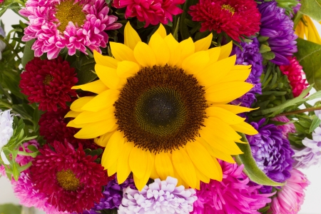 background of beautiful  mixed  multicolored autumn flowers の写真素材