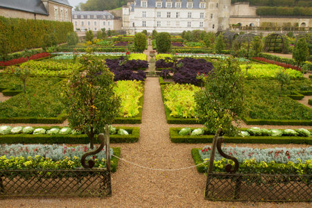 Villandry classical vegetable gadens, Pays-de-la-Loire, Franceのeditorial素材