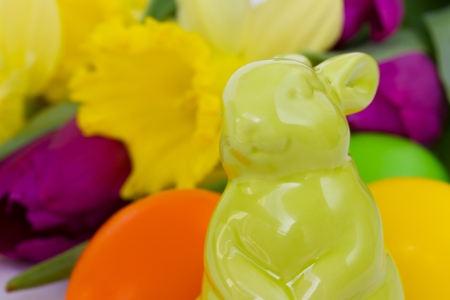 easter  bunny with spring flowers and eggs backdropの写真素材