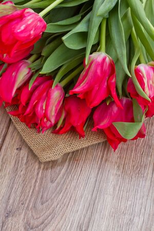 spring  red tulips laying on wooden tableの写真素材
