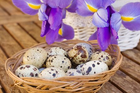 quail eggs and irises for easter  on wooden tableの写真素材