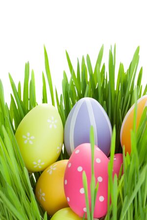 easter painted  eggs in green grass isolated on white backgroundの写真素材