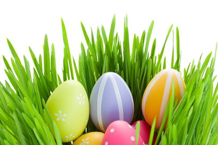 easter eggs in green grass isolated on white backgroundの写真素材