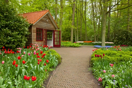 Colorful spring flowers in dutch  garden Keukenhof in Hollandの写真素材