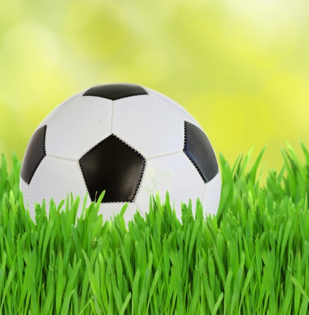 black and white soccer ball in summer green grass の写真素材