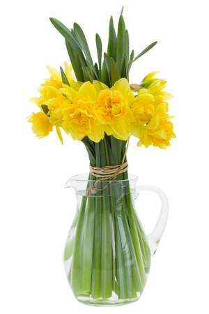 bouquet of daffodils in vase isolated on white backgroundの写真素材
