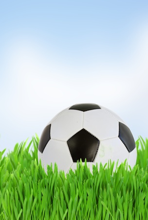 black and white soccer ball in  green grassの写真素材