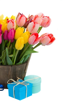 tulip flowers in wooden pot with gift boxes isolated on white backgroundの写真素材