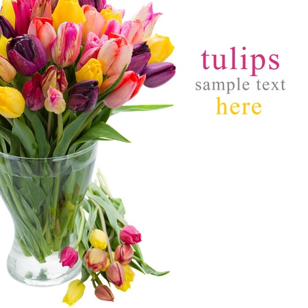 tulip flowers in glass vase isolated on white backgroundの写真素材