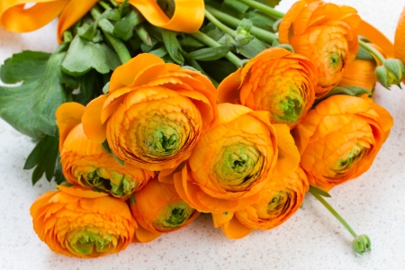 ranunculus orange flowers bouquet on table close upの写真素材