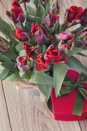 bouquet of red tulips with gift box on wooden tableの写真素材