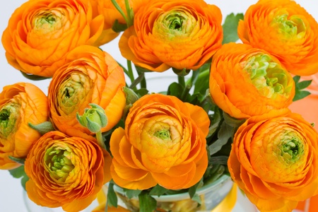 ranunculus orange flowers bouquet  close up