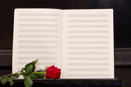 open empty notes paper with one  red rose  pianoの写真素材