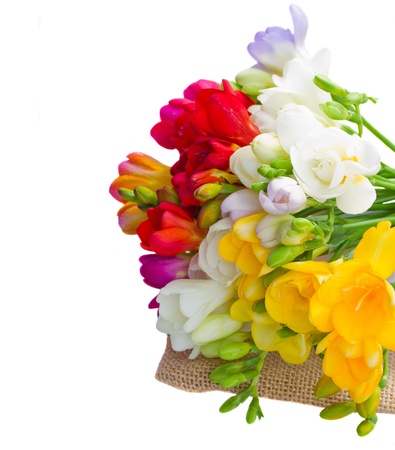 posy of freesias flowers isolated on white backgroundの写真素材