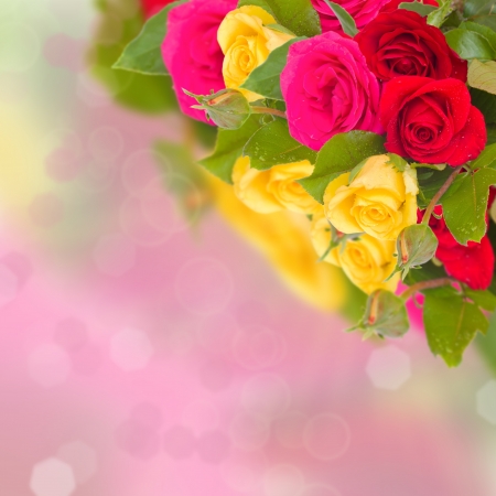 bouquet of multcolored garden rosesの写真素材
