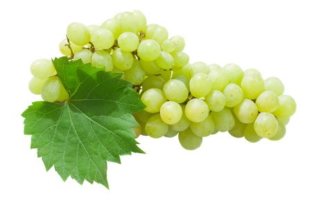 White grapes with leaves isolated on white backgroundの写真素材