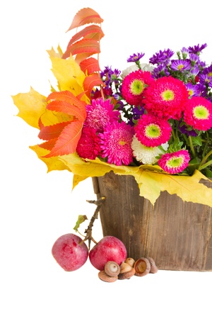 bunch of aster flowers and lraves  isolated on white backgroundの写真素材