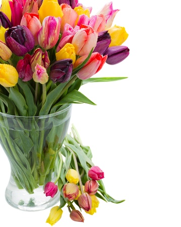 tulip flowers in glass vase isolated on white backgroundの写真素材