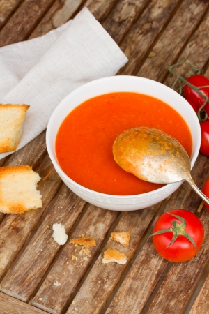 Gazpacho dish - spanish cold  tomato soupの写真素材