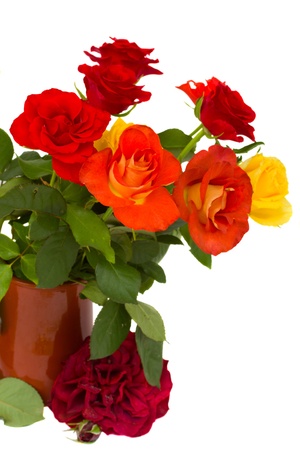 multicolored roses  in clay pot isolated on white backgroundの写真素材