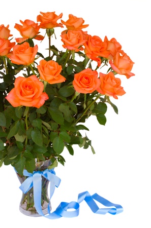 fresh orange roses  in vase isolated on white backgroundの写真素材