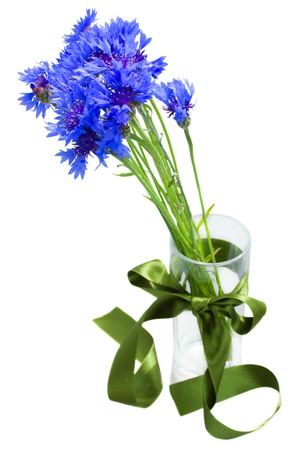 blue corn flowers bouquet in vase isolated on white backgroundの写真素材