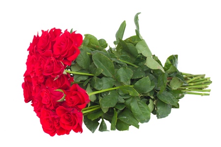 bouquet of scarlet roses isolated on white backgroundの写真素材