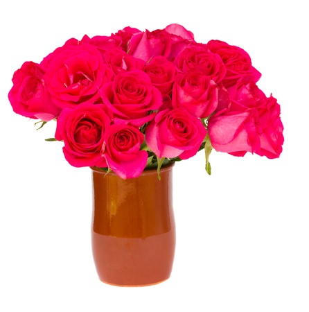 mauve fresh roses in  pot isolated on white backgroundの写真素材