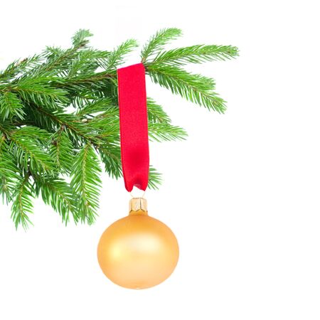 ball hanging on fir tree isolated on white backgroundの写真素材