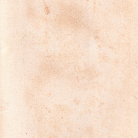 background of textured  old book page on whiteの写真素材