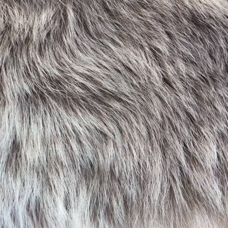 close up shot of abstract gray  fur backgroundの写真素材