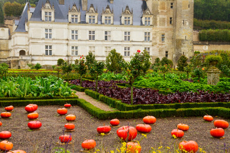 Villandry castle  in the Loire Valley at fall, Franceのeditorial素材