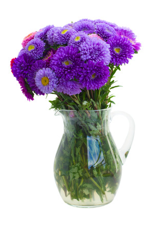 bouquet of purple aster flowers in vase  isolated on white backgroundの写真素材