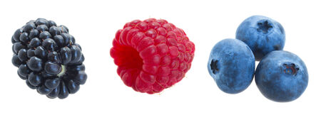 set of fresh berries  isolated on white background   - blackberry, bluberry and raspberryの写真素材