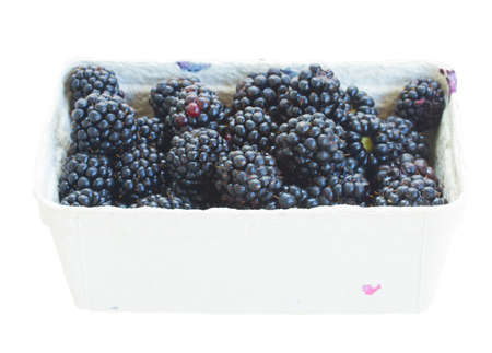 caton pack of   fresh blackberry  isolated on white backgroundの写真素材