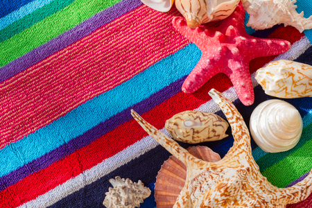 sea shells on multicolored striped beach towelの写真素材